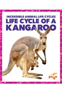 Life Cycle of a Kangaroo
