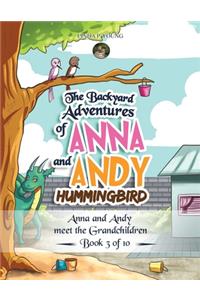 The Backyard Adventures of Anna and Andy Hummingbird