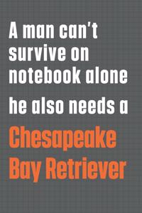 A man can't survive on notebook alone he also needs a Chesapeake Bay Retriever