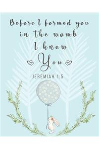 Before I formed you in the womb I knew you Jeremiah 1