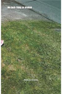 No Such Thing as Broken