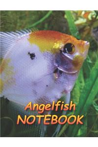 Angelfish NOTEBOOK