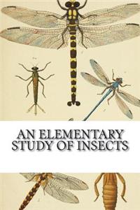 An Elementary Study of Insects