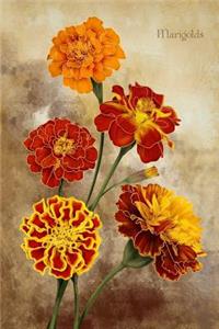 Marigolds