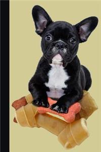 Journal: French Bulldog Little Black Puppy Diary & Writing Notebook Daily Diaries for Journalists & Writers Use for Note Taking Write about Your Life & Inter