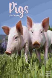 Pigs 2023 Wall Calendar