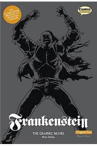 Frankenstein The Graphic Novel