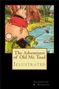 The Adventures of Old Mr. Toad