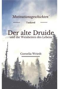 Alte Druide Und Die Weisheiten Des Lebens