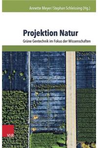 Projektion Natur