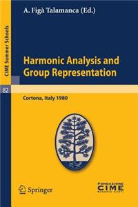 Harmonic Analysis and Group Representations