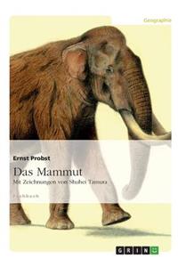 Mammut