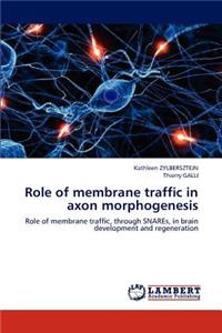 Role of membrane traffic in axon morphogenesis