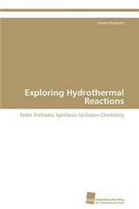 Exploring Hydrothermal Reactions