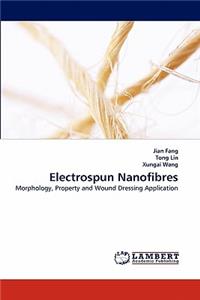 Electrospun Nanofibres