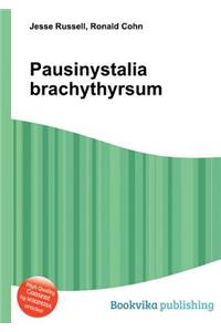 Pausinystalia Brachythyrsum