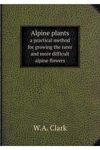Alpine Plants a Practical Method for Growing the Rarer and More Difficult Alpine Flowers