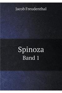 Spinoza Band 1