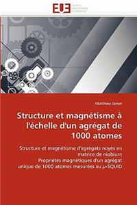 Structure Et Magnétisme À l''échelle d''un Agrégat de 1000 Atomes