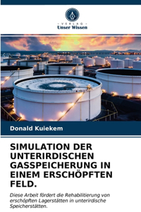 Simulation Der Unterirdischen Gasspeicherung in Einem Erschöpften Feld.
