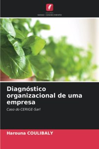 Diagnóstico organizacional de uma empresa