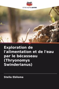 Exploration de l'alimentation et de l'eau par le bécasseau (Thryonomys Swinderianus)