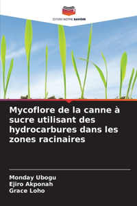 Mycoflore de la canne à sucre utilisant des hydrocarbures dans les zones racinaires