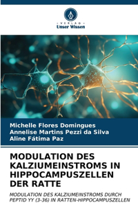 Modulation Des Kalziumeinstroms in Hippocampuszellen Der Ratte