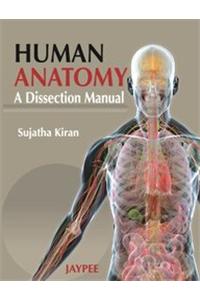 Human Anatomy