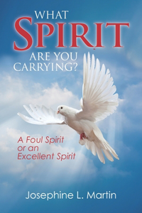 What Spirit are You Carrying? A Foul Spirit or an Excellent Spirit