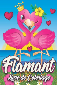 Livre de coloriage Flamant