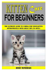 Kitten Care for Beginners