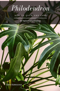 Philodendron: How to grow and care