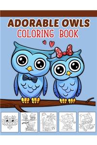 Owls Coloring Book