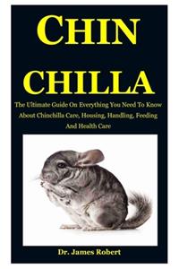 Chinchilla