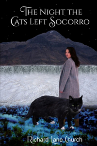 The Night the Cats Left Socorro