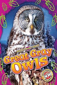 Great Gray Owls