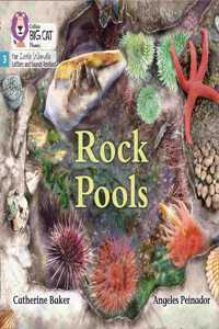 Big Cat Phonics for Little Wandle Letters and Sounds Revised - Rock Pools