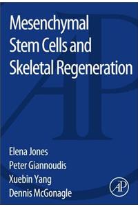 Mesenchymal Stem Cells and Skeletal Regeneration