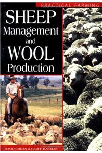 Sheep Management And Wool Production