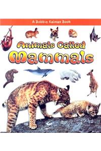 Animals Called Mammals