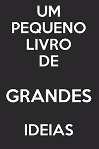 Um Pequeno Livro De Grandes Ideias