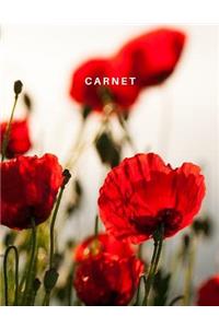 Carnet