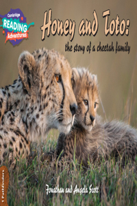 Cambridge Reading Adventures Honey and Toto: The Story of a Cheetah Family 1 Pathfinders