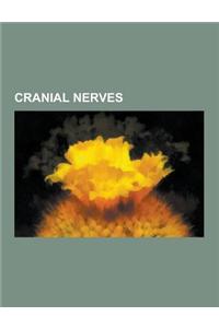 Cranial Nerves: Abducens Nerve, Abducens Nucleus, Accessory Nerve, Accommodation Reflex, Anterior Gastric Branches of Anterior Vagal T