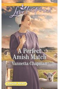 A Perfect Amish Match