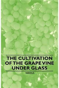 The Cultivation of the Grape Vine Under Glass