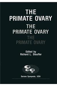 Primate Ovary