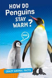 How Do Penguins Stay Warm?