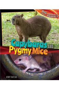 Capybaras and Pygmy Mice